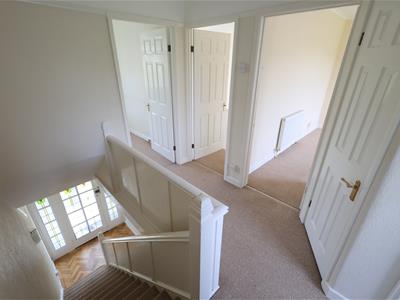 Picture 13